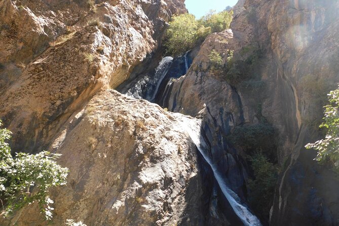 1 Day Ourika Valley Tour - Reviews and Booking Information