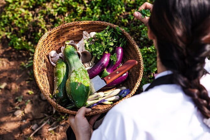 1 Day Pak Ou Caves, Kuang Si Waterfalls and Local Villages - The Sum Up: Who Will Love This Tour?