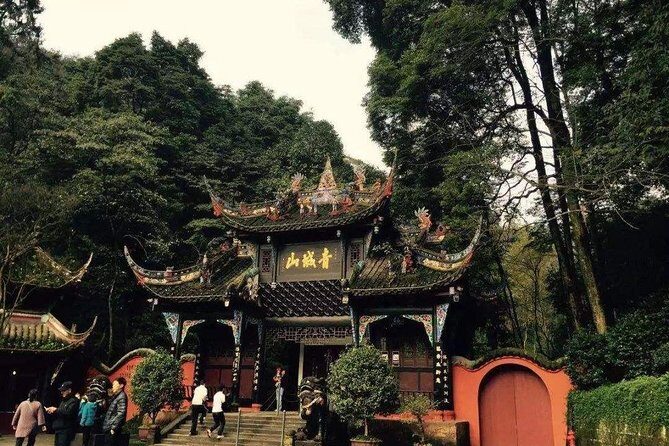 1-Day Panda Base and Mount Qingcheng Private tour from Chengdu - Exploring the Itinerary in Detail