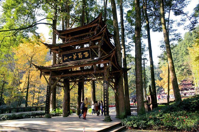 1-Day Panda Base and Mount Qingcheng Private tour from Chengdu - Transportation and Practicalities