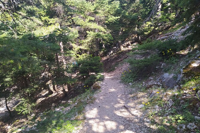 1 Day Parnitha Athens Private Hiking Tour - Common Questions