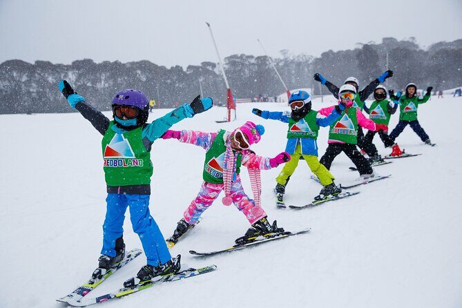 1 Day Perisher Snow Tour - Exploring the 1 Day Perisher Snow Tour: An Honest Look