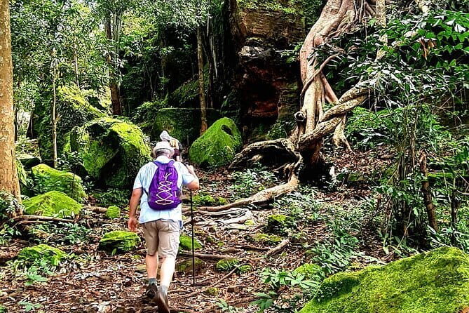 1 Day Phnom Kulen and Elephant Pond Trekking - Why Choose This Tour?