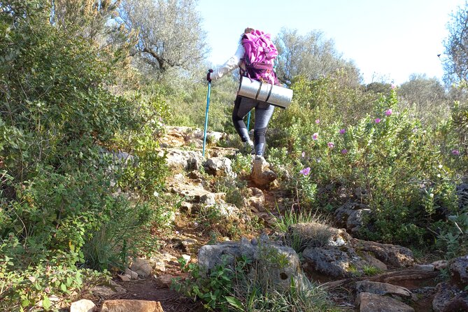 1 Day Pilgrimage Experience to Fátima - Pilgrimage Location and Meeting Point