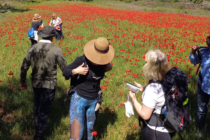 1 Day Pilgrimage Experience to Fátima - Inclusions and Additional Information