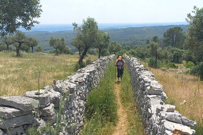 1 Day Pilgrimage Experience to Fátima - Cancellation Policy Details