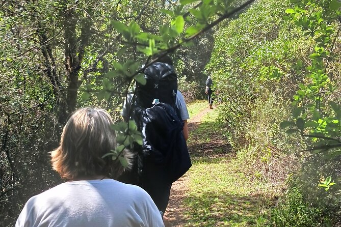 1 Day Pilgrimage Experience to Fátima - Price, Booking, and Guarantees