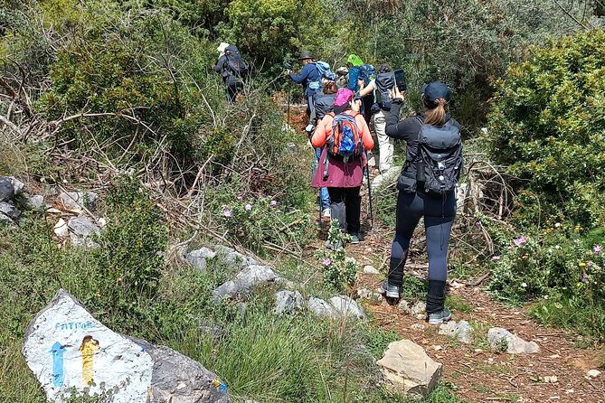 1 Day Pilgrimage Experience to Fátima - The Sum Up