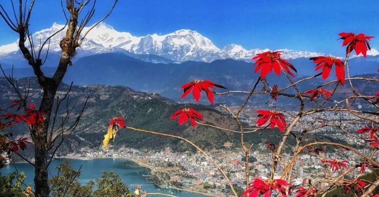 1 Day Pokhara Tour From Kathmandu by Flight - Tour Experience