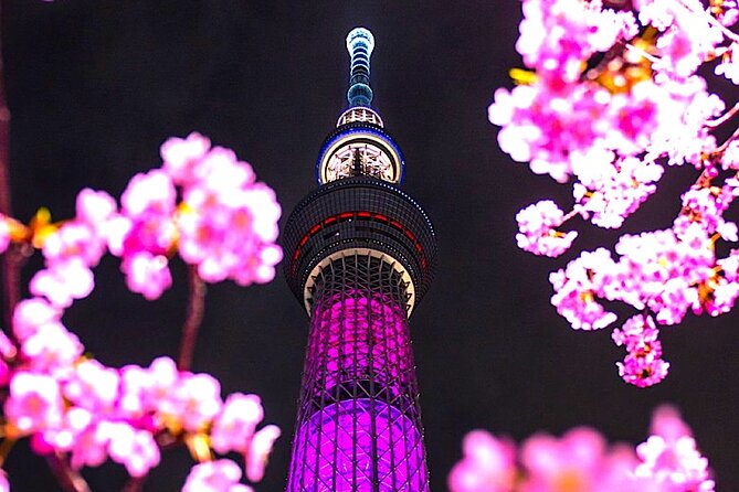 1 Day Private Charter Tokyo Sightseeing Tour With Guide - Duration and Meeting Point