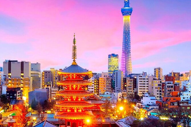 1 Day Private Charter Tokyo Sightseeing Tour With Guide - Additional Information