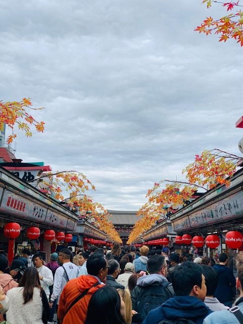 1 Day Private Charter Tokyo Sightseeing Tour With Guide - Tour Details