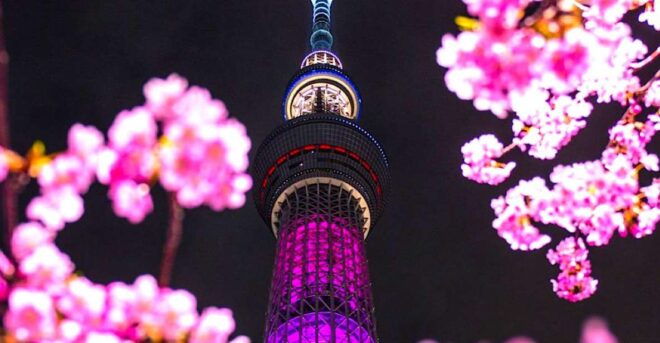 1 Day Private Charter Tokyo Sightseeing Tour With Guide - Itinerary