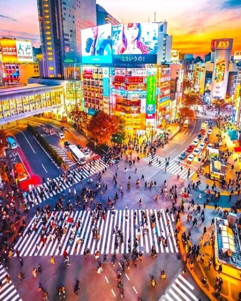 1 Day Private Charter Tokyo Sightseeing Tour With Guide - Duration and Starting Times