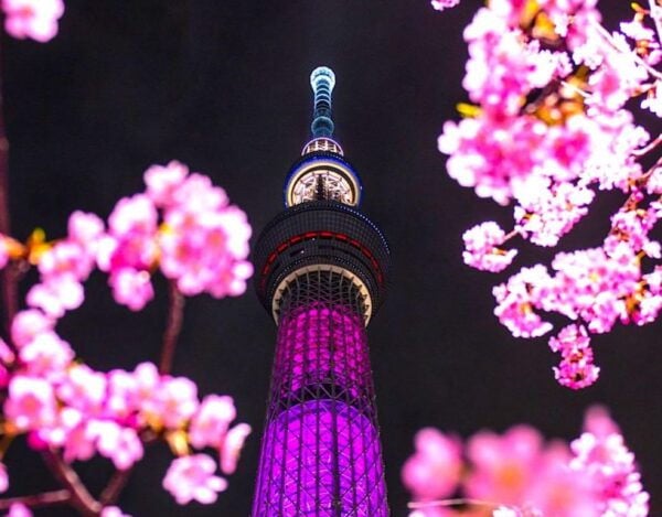 1 Day Private Charter Tokyo Sightseeing Tour With Guide - Comfortable Transportation