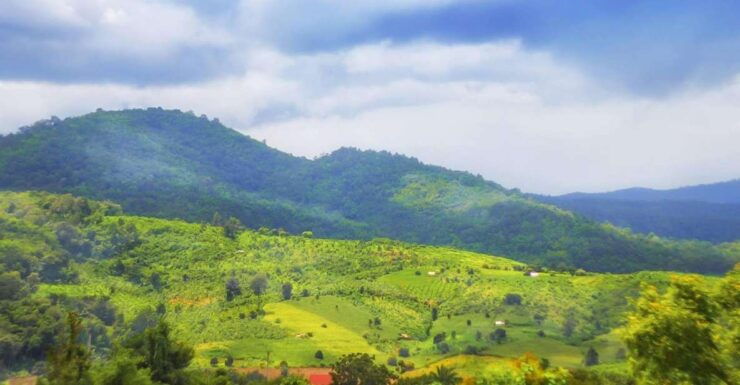 1 Day Private Eco-Trekking White Pakayaw Village, Mae Sapok - Experience Details