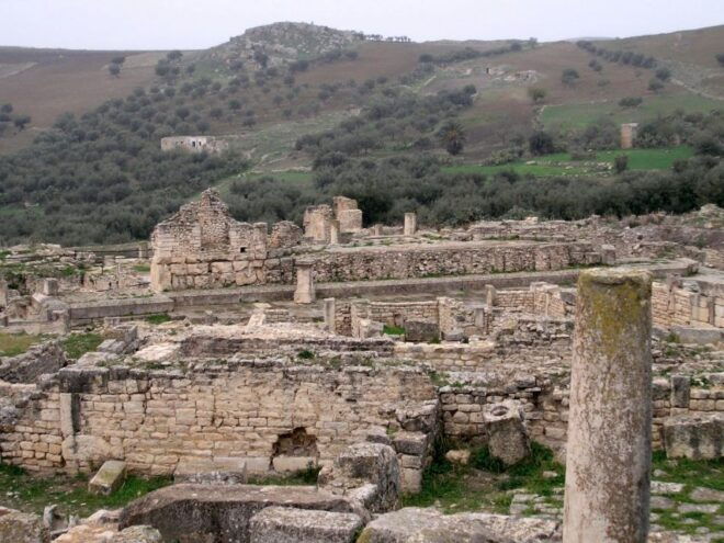 1 Day Private Group Tour to Dougga and Bulla Regia Lunch - Full Description