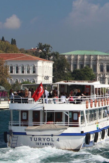 1-Day Private Guided Tour of Istanbul - Customize Your Experience