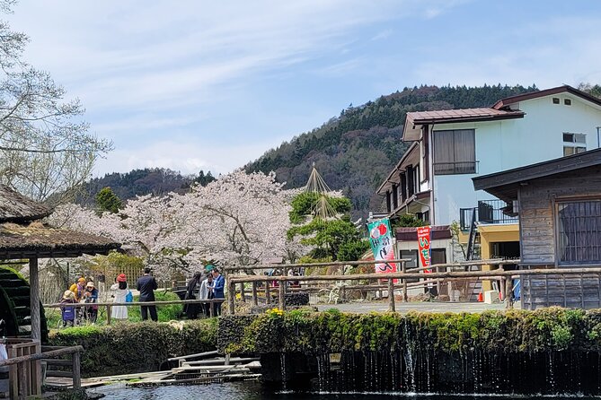 1 Day Private Mount Fuji Tour With English Speaking Driver - Tour Highlights