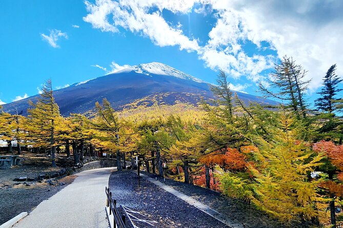 1 Day Private Mount Fuji Tour With English Speaking Driver - Itinerary Details