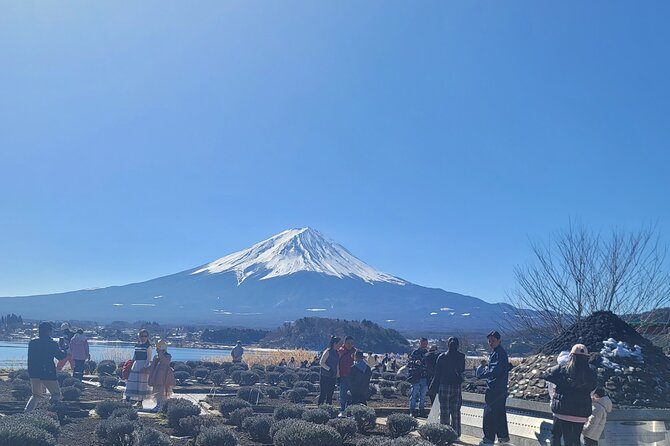 1 Day Private Mount Fuji Tour With English Speaking Driver - Customer Reviews