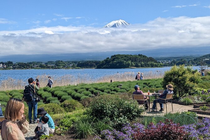 1 Day Private Mt Fuji & Lake Kawaguchiko English Speaking Driver - Inclusions