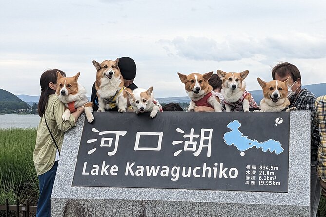 1 Day Private Mt Fuji & Lake Kawaguchiko English Speaking Driver - Reviews