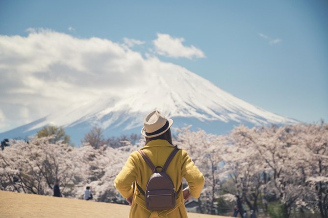 1 Day Private Mt Fuji Tour (Charter) - English Speaking Driver - Customization Options