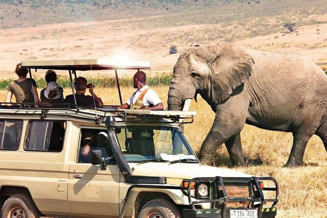 1 Day Private Ngorongoro Crater Safari - Inclusions