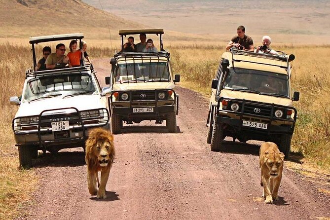 1 Day Private Ngorongoro Crater Safari - Group Size