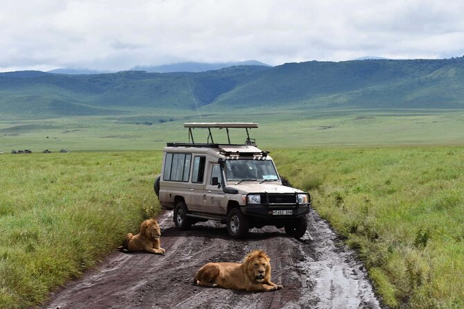1 Day Private Ngorongoro Crater Safari - Meeting and Pickup