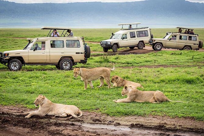1 Day Private Ngorongoro Crater Safari - What To Expect