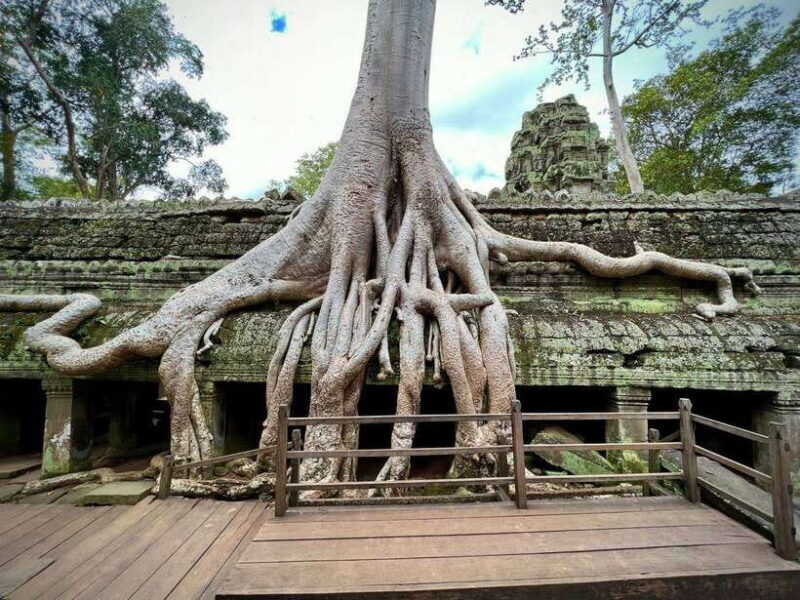1 Day Private of Angkor Wat Tour with Tuk Tuk - Authentic Reviewer Insights
