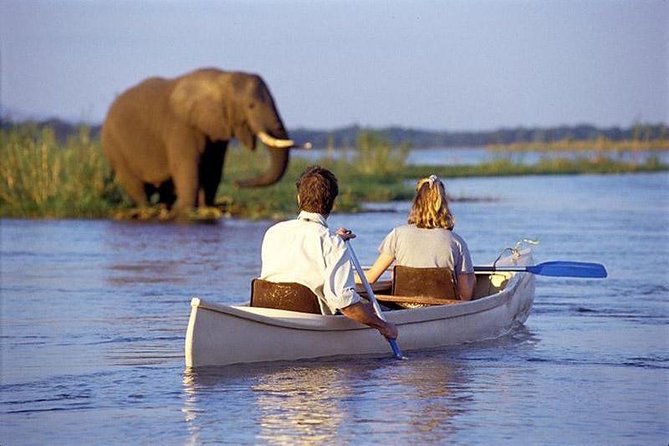 1 Day Private Safari in Lake Manyara National Park - Pickup Information