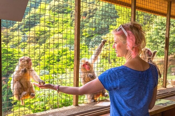 1-Day Private Snow Monkey ZenkoJi Temple & SakeTasting NaganoTour - Inclusions