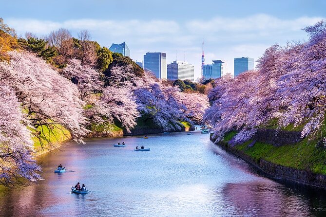1 Day Private Tokyo Tour With English Speaking Driver - Pricing and Guarantee
