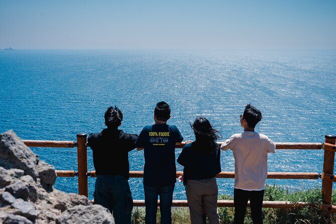 1-Day Private Tour from Chitose/Sapporo to Wherever you wanna go! - Who Should Consider This Tour?