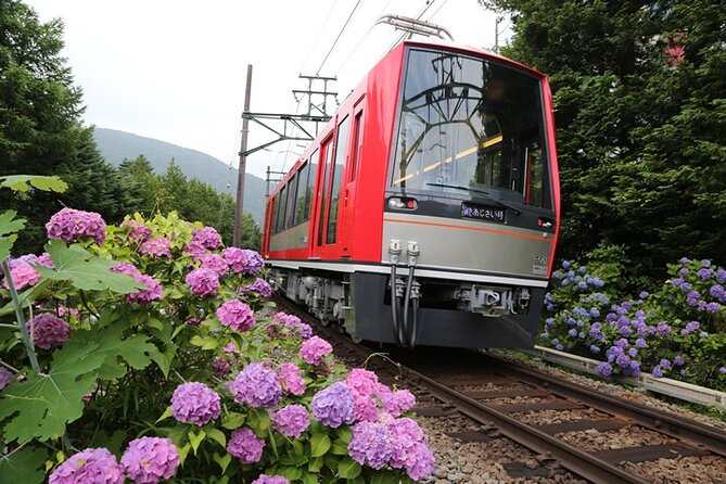 1 Day Private Tour in Hakone With Hakone Freepass & Train Ticket - Inclusions and Exclusions