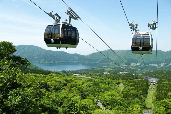 1 Day Private Tour in Mt.Fuji and Hakone English Speaking Driver - Common Questions