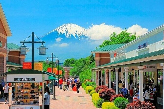 1 Day Private Tour of Mt. Fuji and Hakone with English Driver - Good To Know