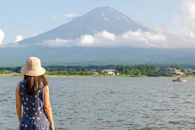 1 Day Private Tour of Mt. Fuji and Hakone with English Driver - The Sum Up