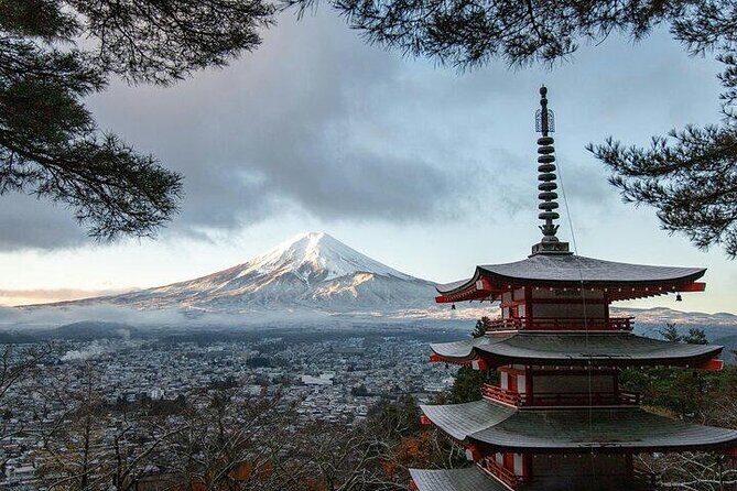 1 Day Private Tour of Mt. Fuji and Hakone with English Driver - Transportation and Comfort