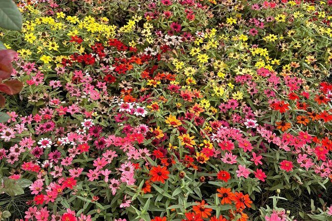 1 Day Private Tour of Mt. Fuji and Hakone with English Driver - Who Would Love This Tour?