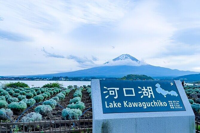 1 Day Private Tour of Mt. Fuji and Hakone with English Driver - FAQ