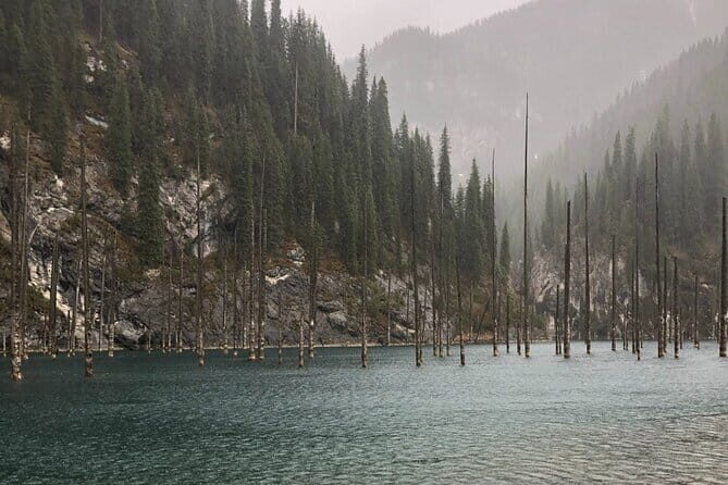 1 Day Private Tour to Charyn Canyon, Kolsay and Kaiyndy - An In-Depth Look at the Tour Experience