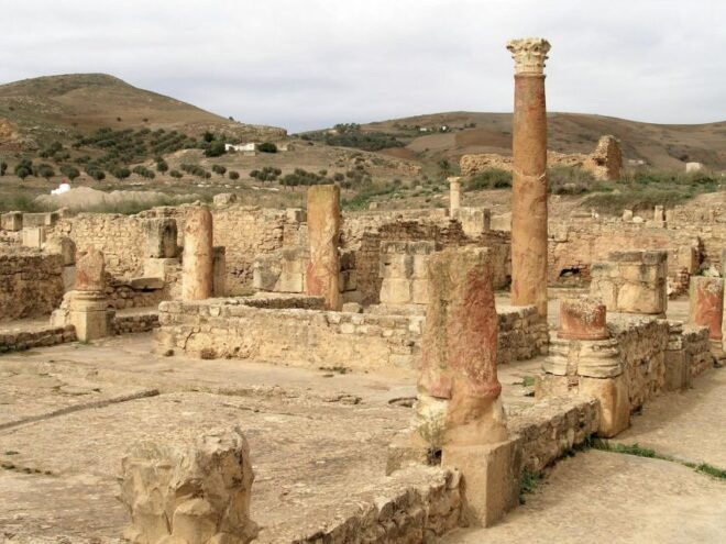 1 Day Private Tour to Dougga and Bulla Regia Including Lunch - Pickup and Logistics