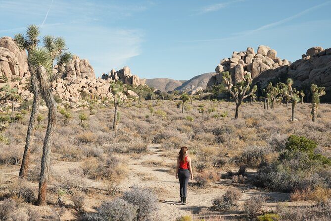 1-day Private Tour to Joshua Tree National Park from Los Angeles - Good To Know