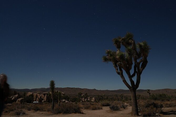 1-day Private Tour to Joshua Tree National Park from Los Angeles - FAQ