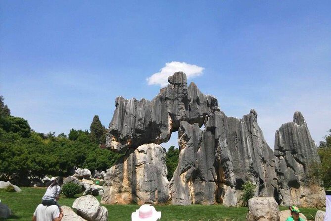 1-Day Private Tour:Stone Forest and Western Hill(Dragon Gate) from Kunming - What to Expect on This 1-Day Private Tour  