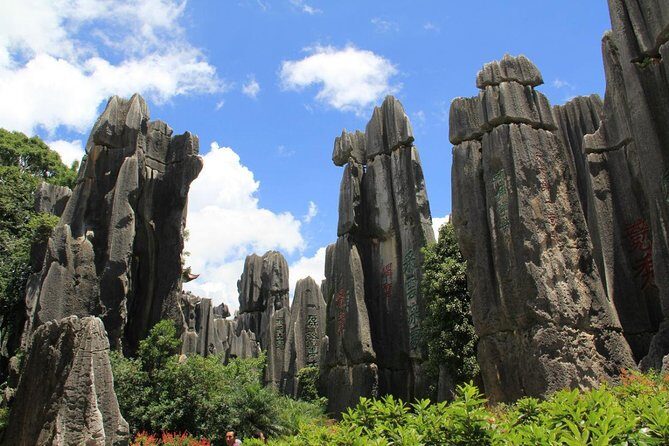 1-Day Private Tour:Stone Forest and Western Hill(Dragon Gate) from Kunming - Good To Know